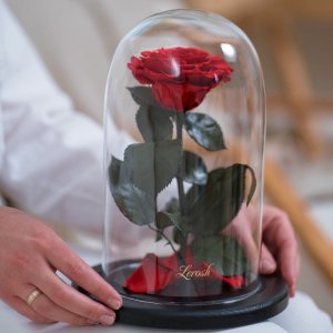 Троянди в колбі Premium 27 см → 3800 грн