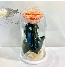 Персикова троянда в колбі Lerosh - Premium 27 см