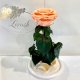 Peach Eternal Rose in Flask Lerosh - Premium 27 cm