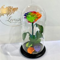 Яскрава Різнокольорова троянда в колбі Lerosh - Premium 27 см