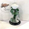 White Eternal Rose in Flask Lerosh - Premium 27 cm