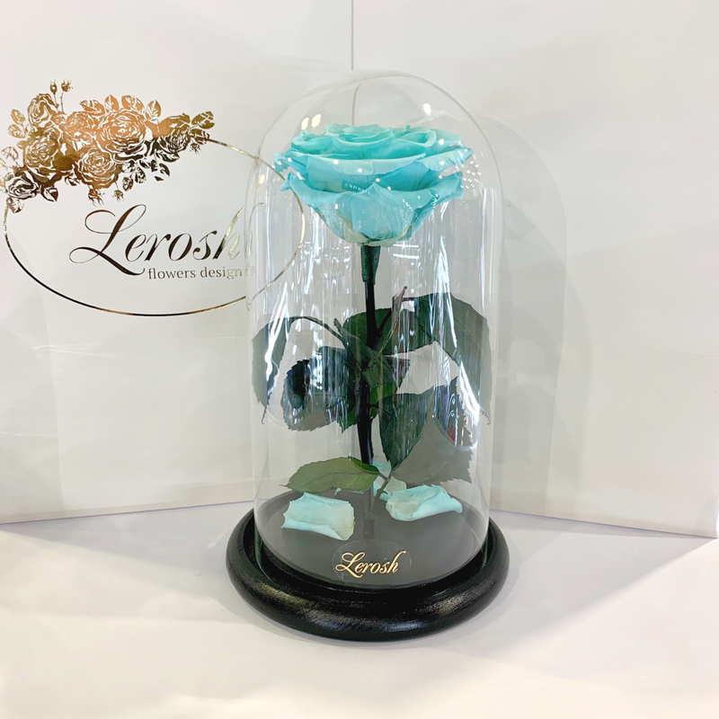 Turquoise Eternal Rose in Flask Lerosh - Premium 27 cm