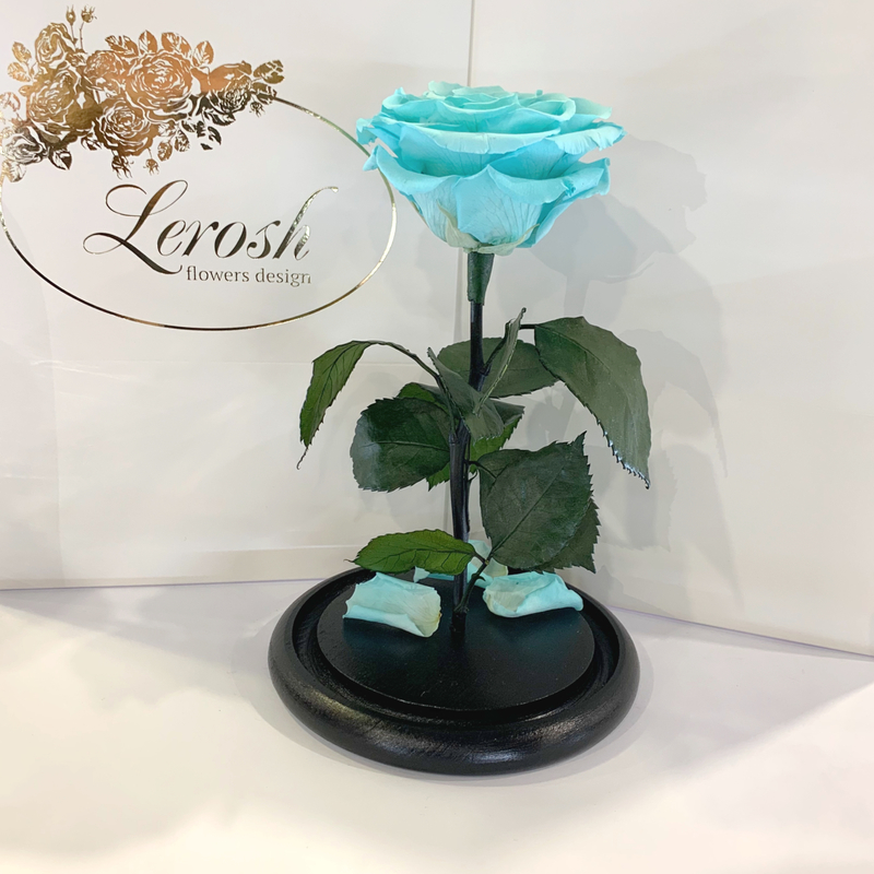 Turquoise Eternal Rose in Flask Lerosh - Premium 27 cm