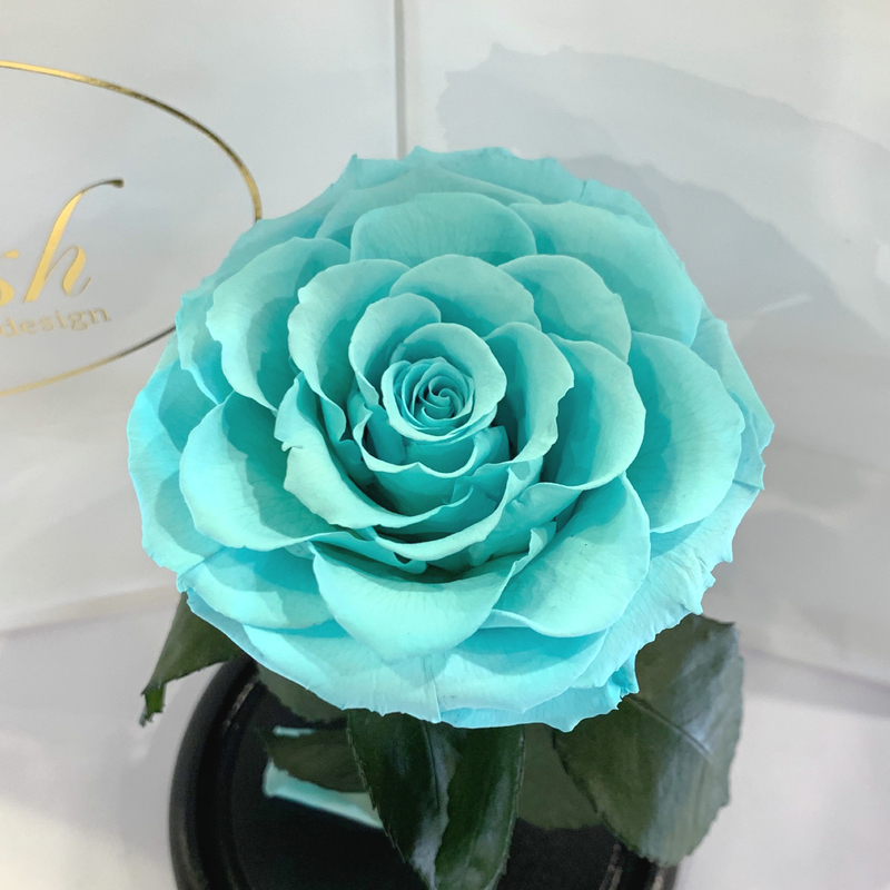 Turquoise Eternal Rose in Flask Lerosh - Premium 27 cm