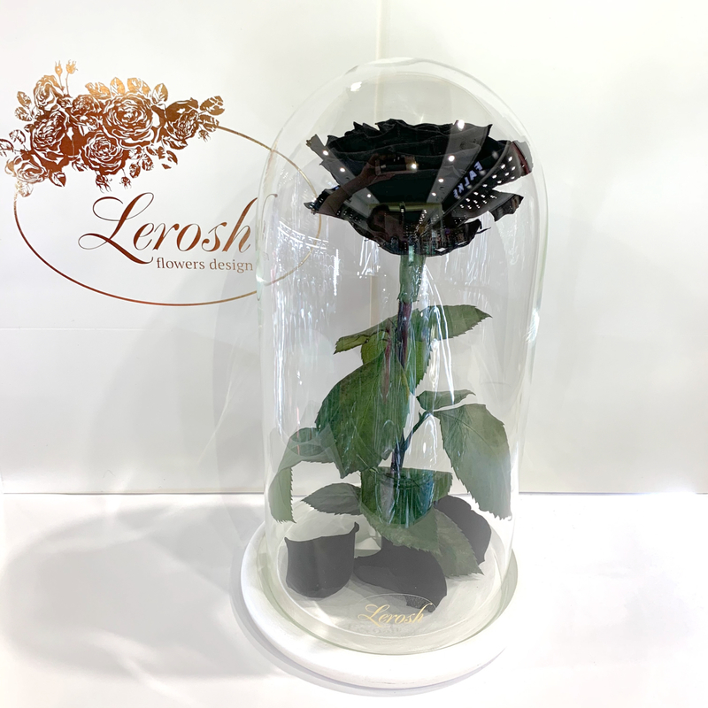 Black Eternal Rose in Flask Lerosh - Premium 27 cm