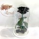 Чорна троянда в колбі Lerosh - Premium 27 см