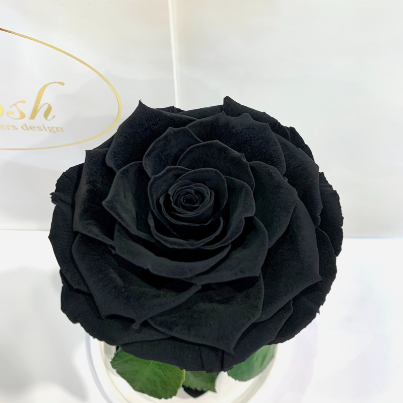 Чорна троянда в колбі Lerosh - Premium 27 см
