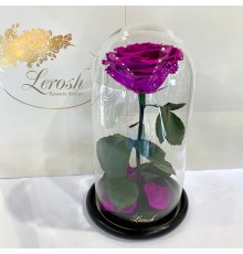 Фіолетова троянда в колбі Lerosh - Premium 27 см