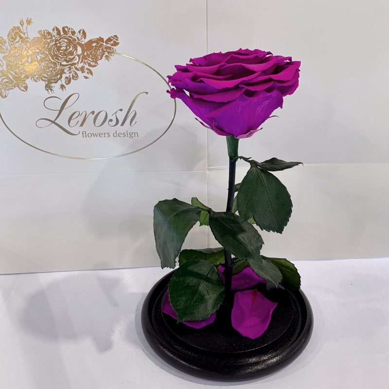 Фіолетова троянда в колбі Lerosh - Premium 27 см
