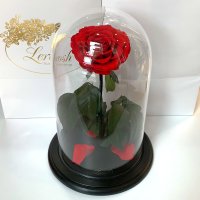 Червона троянда в колбі Lerosh - NEW Premium 27 см