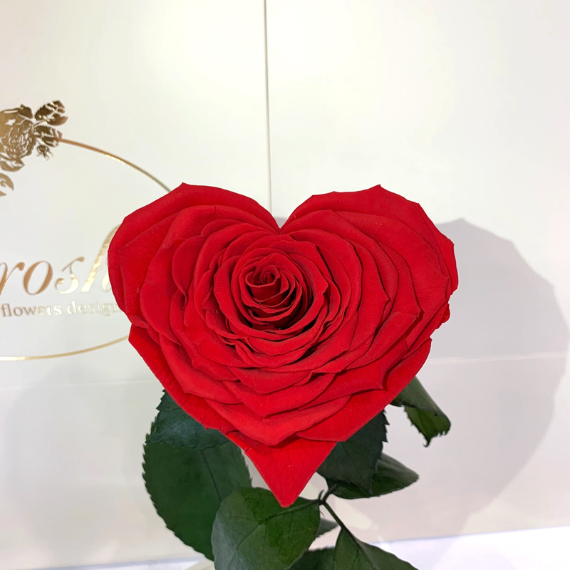 Red Eternal Rose in Flask Heart Lerosh - Premium 27 cm