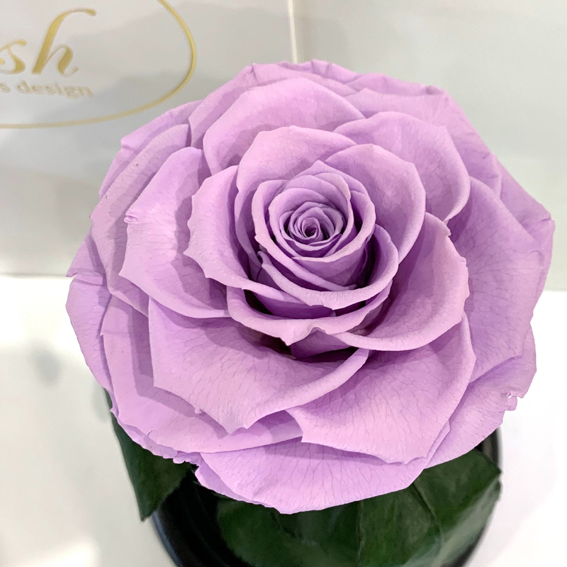 Lilac Eternal Rose in Flask Lerosh - Premium 27 cm