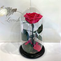 Малинова троянда в колбі Lerosh - Premium 27 см
