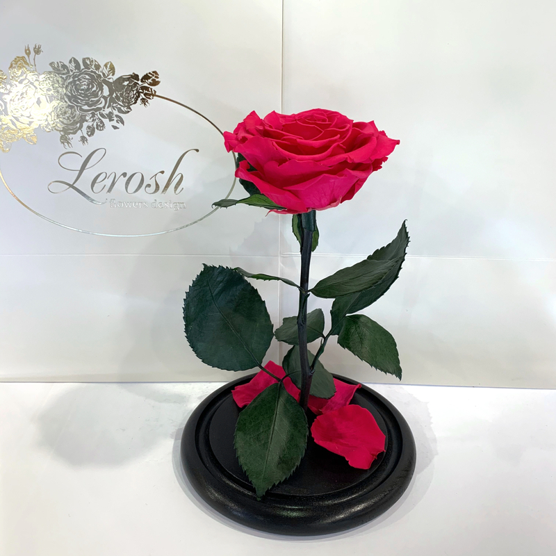 Raspberry Eternal Rose in Flask Lerosh - Premium 27 cm