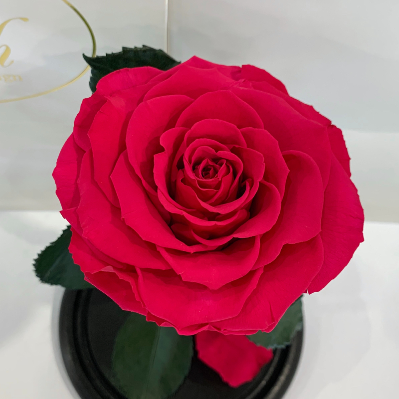 Raspberry Eternal Rose in Flask Lerosh - Premium 27 cm