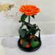 Orange Eternal Rose in Flask Lerosh - Premium 27 cm
