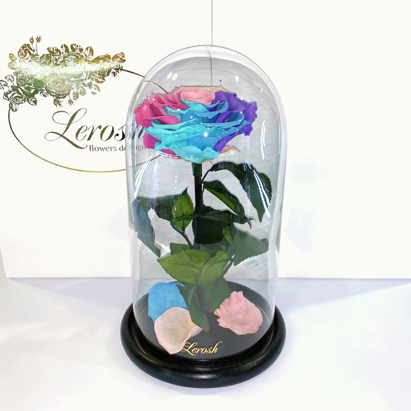 Delicate Rainbow Eternal Rose in Flask Lerosh - Premium 27 cm