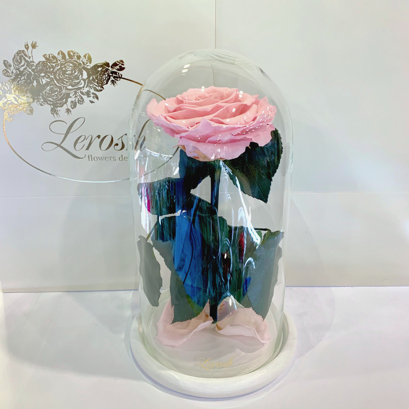 Pink Eternal Rose in Flask Lerosh - Premium 27 cm