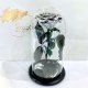 Silver Eternal Rose in Flask Lerosh - Premium 27 cm
