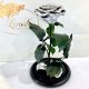 Silver Eternal Rose in Flask Lerosh - Premium 27 cm