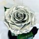 Silver Eternal Rose in Flask Lerosh - Premium 27 cm