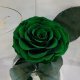 Green Eternal Rose in Flask Lerosh - Premium 27 cm