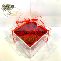 Red Preserved Rosebuds Gift Box 5 Pieces Lerosh - Classic