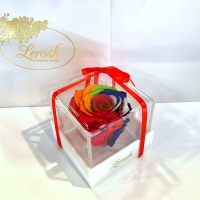 Bright rainbow Preserved Rosebud Gift Box Lerosh - Classic