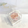 Pink Pearl Preserved Rosebud Gift Box Lerosh - Classic
