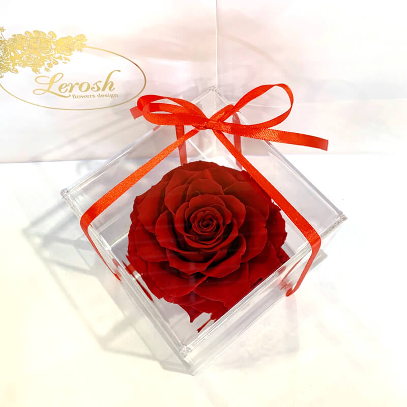 Червоний стабілізований бутон троянди в подарунковій коробці Lerosh - Premium