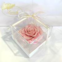 Pink Pearl Preserved Rosebud Gift Box Lerosh - Premium