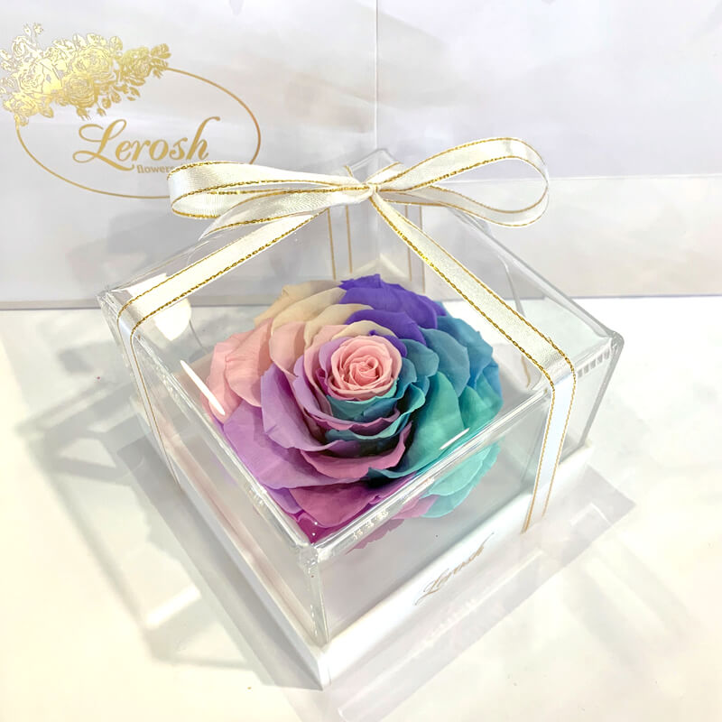 Ніжний Райдужний стабілізований бутон троянди в подарунковій коробці Lerosh - Premium
