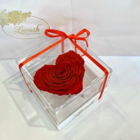 Red Preserved Rosebud heart Gift Box Lerosh - Premium