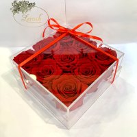 Red Preserved Rosebuds Gift Box 9 Pieces Lerosh - Classic