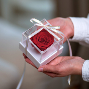 Бутони троянд у коробці → 800 грн