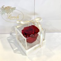 Red Preserved Rosebud Gift Box Lerosh - Classic