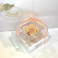 Cream Preserved Rosebud Gift Box Lerosh - Classic
