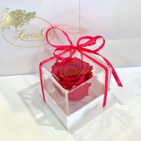 Raspberry Preserved Rosebud Gift Box Lerosh - Classic