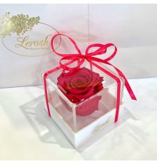 Малиновий стабілізований бутон троянди в подарунковій коробці Lerosh - Classic