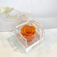 Orange Preserved Rosebud Gift Box Lerosh - Classic
