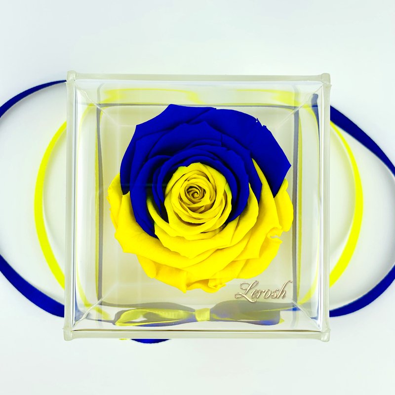 The stabilized rosebud "Flag of Ukraine" in a gift box Lerosh - Classic