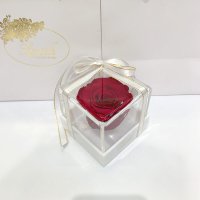 Burgundy Raspberry Stabilized Rosebud in Lerosh Gift Box - Classic