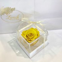 Yellow Preserved Rosebud Gift Box Lerosh - Classic