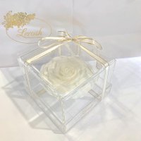 White Preserved Rosebud Gift Box Lerosh - Premium
