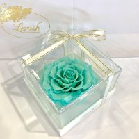 Turquoise Preserved Rosebud Gift Box Lerosh - Premium