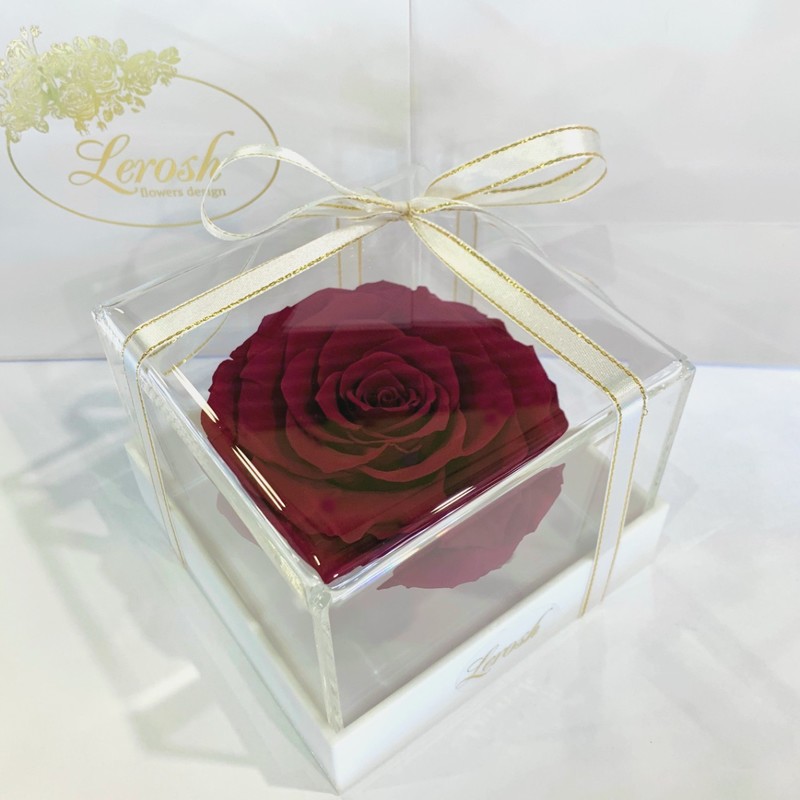 Бордово-малиновий стабілізований бутон троянди в подарунковій коробці Lerosh - Premium