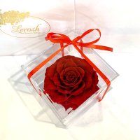 Red Preserved Rosebud Gift Box Lerosh - Premium