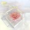 Рожевий Перловий стабілізований бутон троянди в подарунковій коробці Lerosh - Premium
