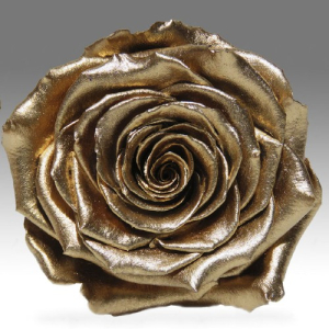 Golden rose in a flask