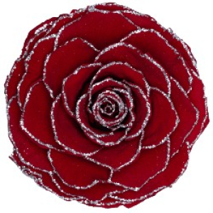 Rose in a flask with sparkles